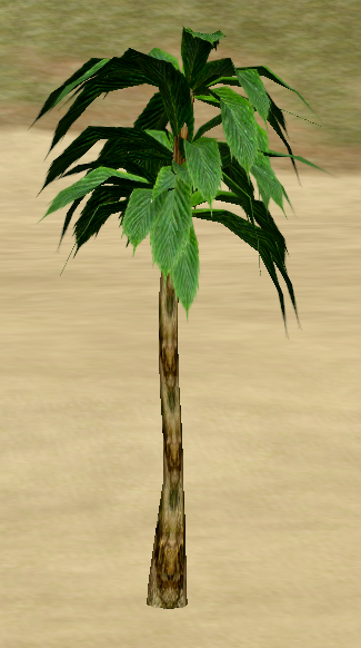 OilPalm.png