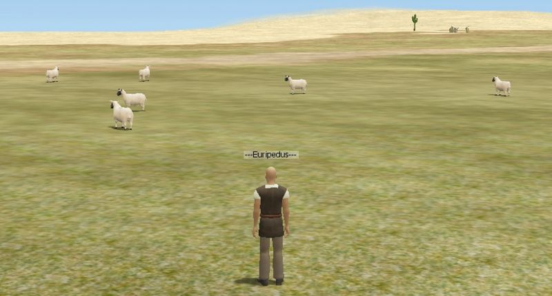 File:Wild sheep.jpg