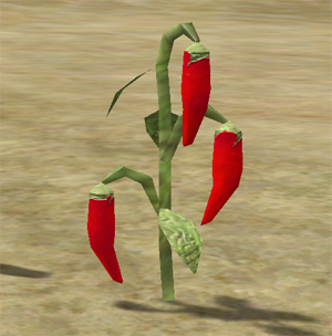 Peppers.png