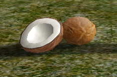 Coconuts.png