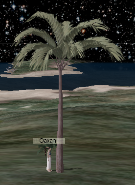 Coconutpalm.png