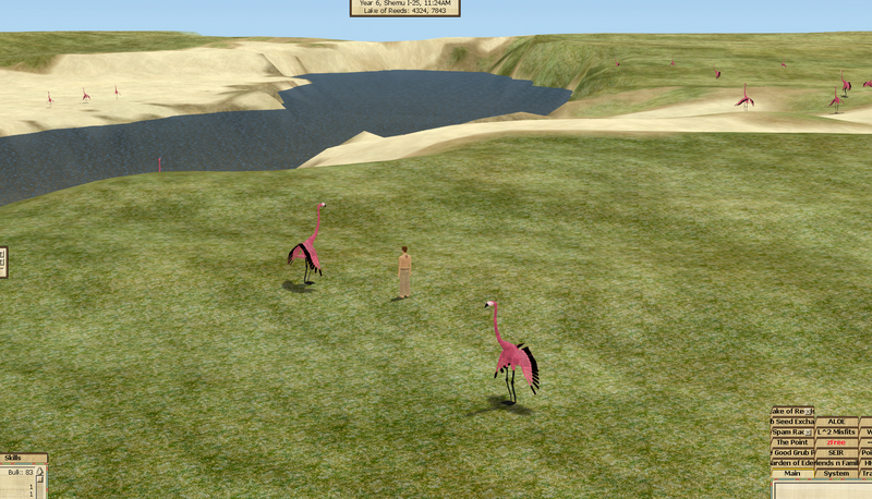 File:Burds.png