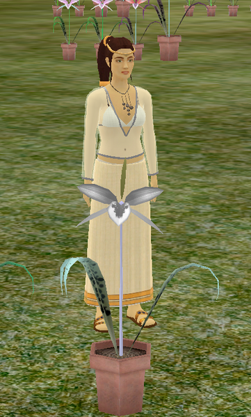 File:Shade 2 black orchid.png