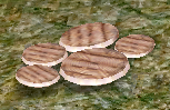 GrilledOnions.png