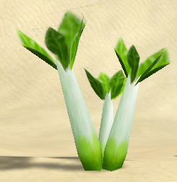 Leeks.png