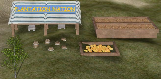 Plantation nation.jpg