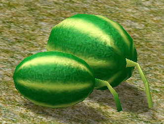 Watermelons.png