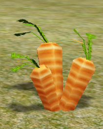 Carrots.png