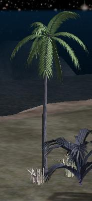 ToweringPalm.png