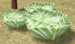 Cabbage.png