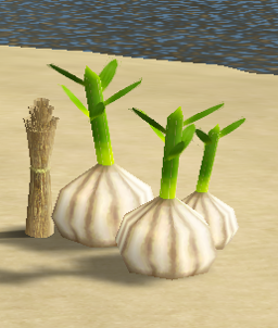 Garlic.png