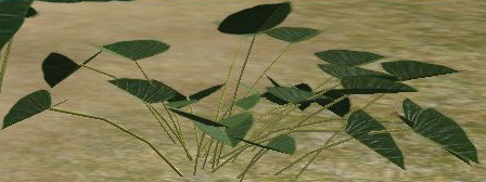 Greengroundcover.png