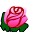 Flower.png