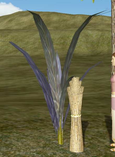 File:Sugarcane.png