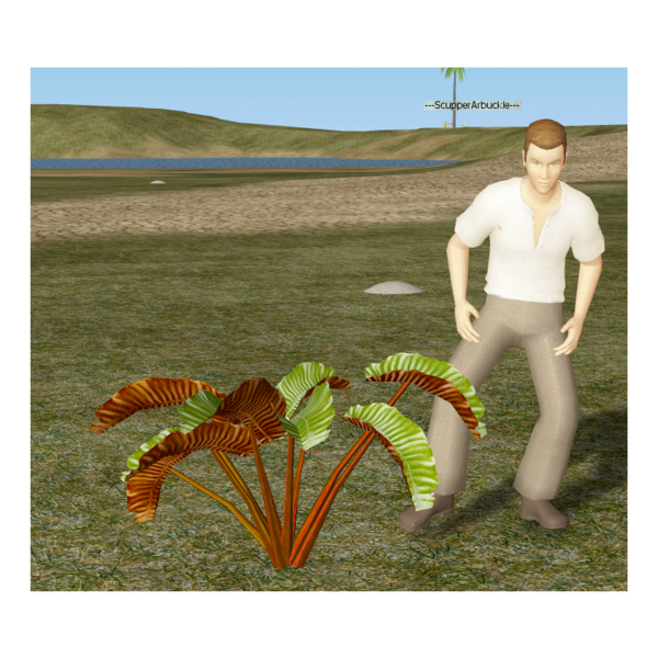 File:Lungclot.png