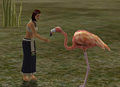 Thumbnail for version as of 22:37, 3 May 2009