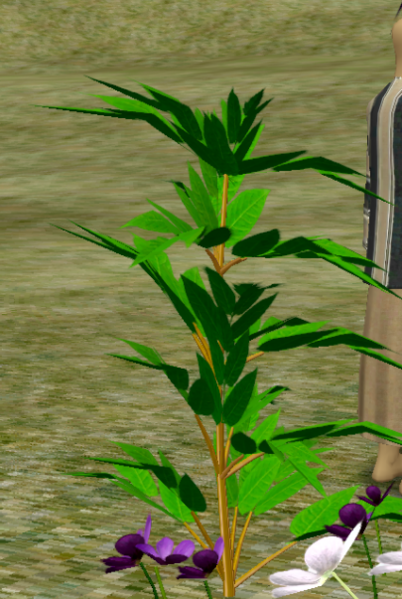 File:Herb1.png