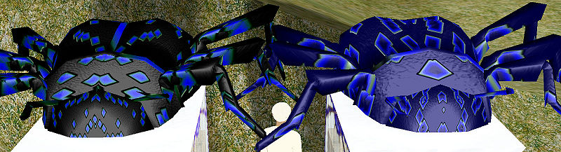 File:Ari BeetleComp1.jpg