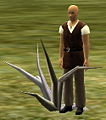 Thumbnail for version as of 14:29, 14 February 2009