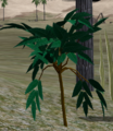 Unknowntree.png
