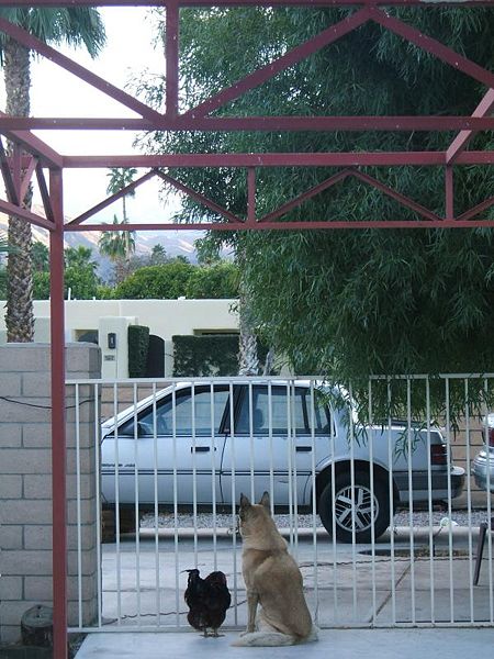 File:Lucky and queen.jpeg