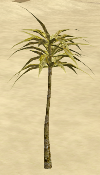 File:PhoenixPalm.png