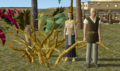 Calabash.png