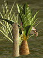 Thumbnail for version as of 18:21, 21 June 2009