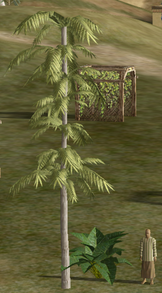 File:LocustPalm.png
