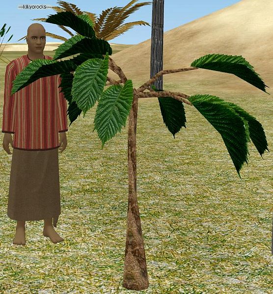 File:Headache Tree.jpg