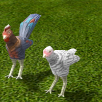 Poulets.png