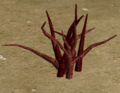 Blood Root.png