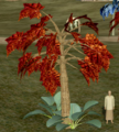 Thumbnail for version as of 16:03, 27 March 2009