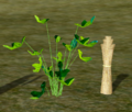 Thumbnail for version as of 23:32, 21 January 2010
