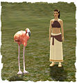 Thumbnail for version as of 06:55, 23 December 2009