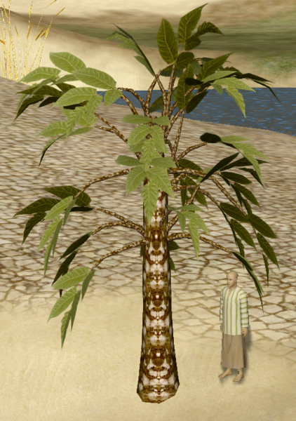 File:Oleaceae.png