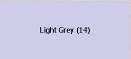 Light Grey Raeli.jpg