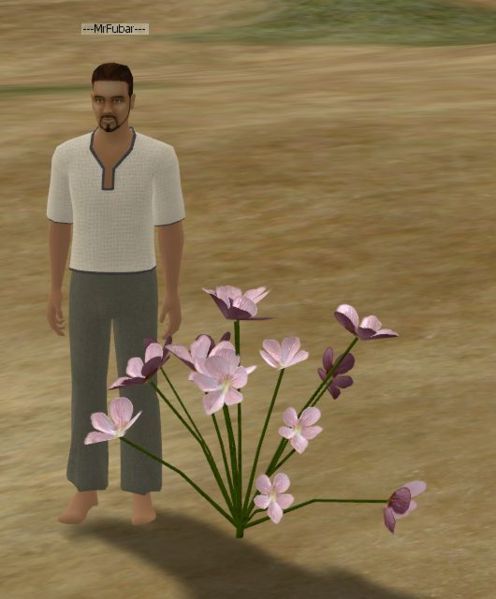 File:Heartsease.jpg