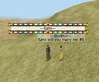 Sami 6th proposal