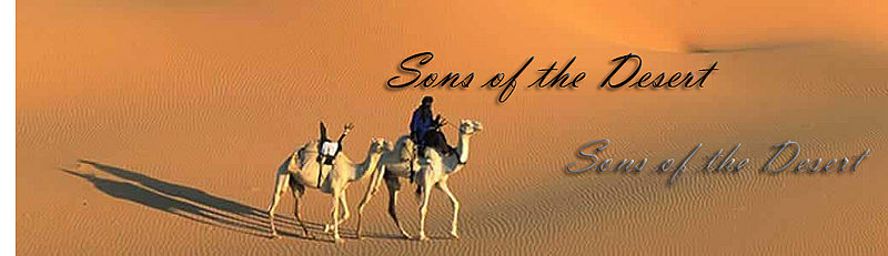 File:Sons of the desert.jpg