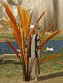 Thumbnail for version as of 00:50, 12 September 2009