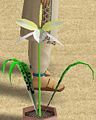 Thumbnail for version as of 15:00, 26 December 2009