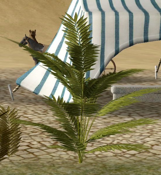 File:MiniatureFernPalm.png