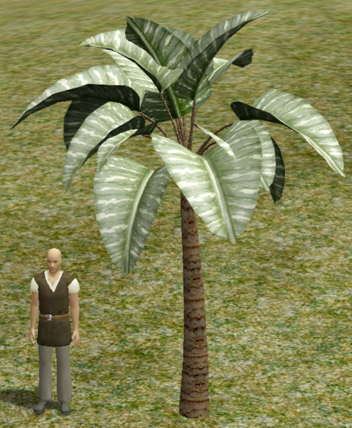 File:ButterleafTree.png