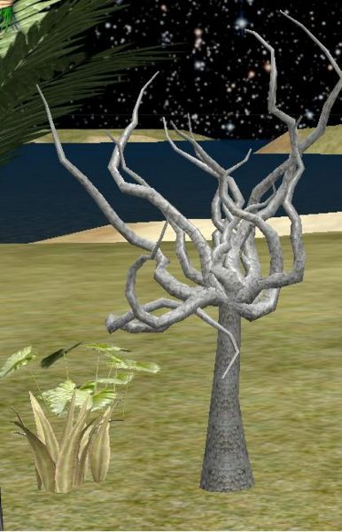 File:ScaleyHardWood.jpg