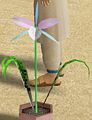 Thumbnail for version as of 15:01, 26 December 2009