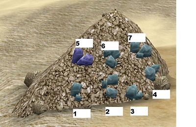 Strontium mine cyclus.jpg