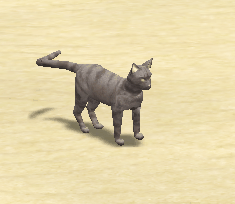 Pharaoh's cat.gif