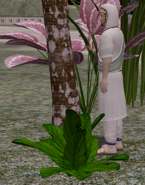 File:Herb1.png
