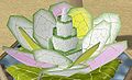 Thumbnail for version as of 19:45, 28 October 2011